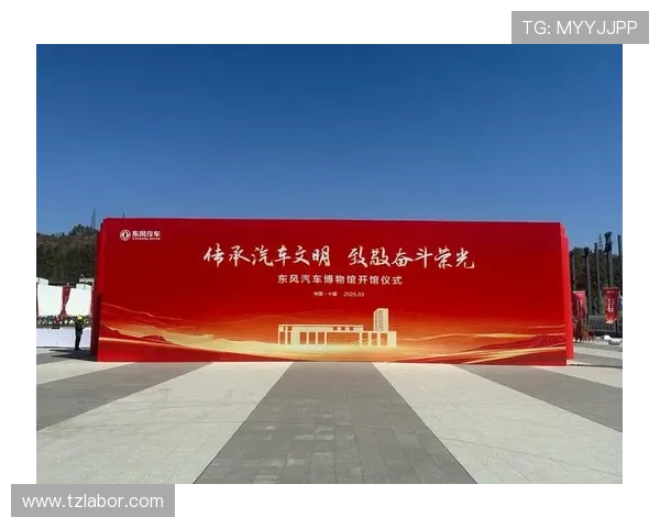 尼斯俱乐部：从辉煌历史到未来展望的全面分析与深度解读