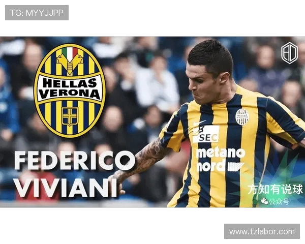 维罗纳俱乐部宣布新赛季阵容调整 强化防守引援目标锁定年轻才俊 维罗纳俱乐部宣布新赛季阵容调整 强化防守引援目标锁定年轻才俊