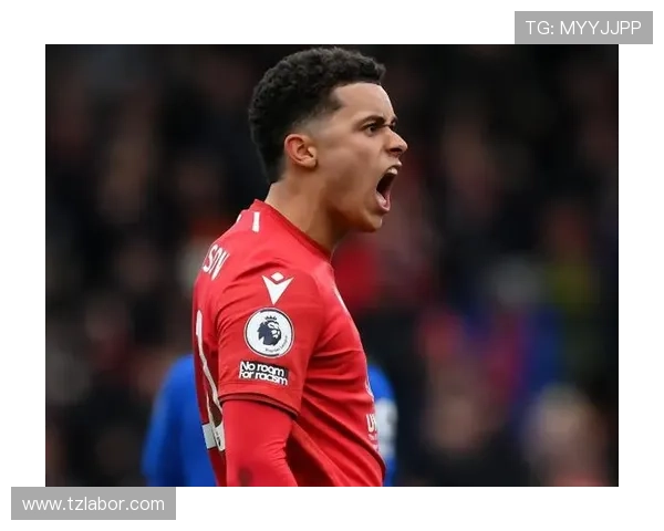 诺丁汉森林俱乐部最新动态：队内伤情更新与未来比赛展望