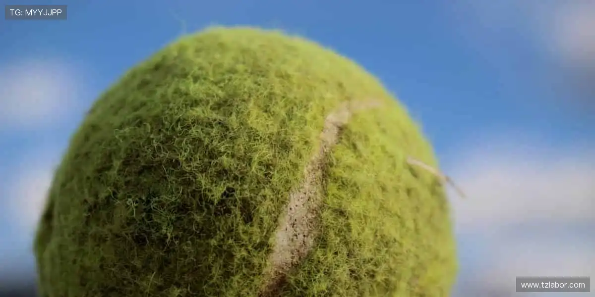 一键开启赛事盛宴!📺 超清画质,身临其境的热血对决!